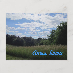 Carte Postale Grand terrain d'herbe avec arbres Ames, Iowa