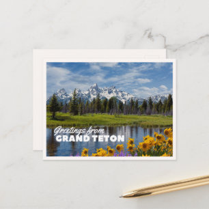 Carte Postale Grand Teton National Park Fleur de printemps réfle