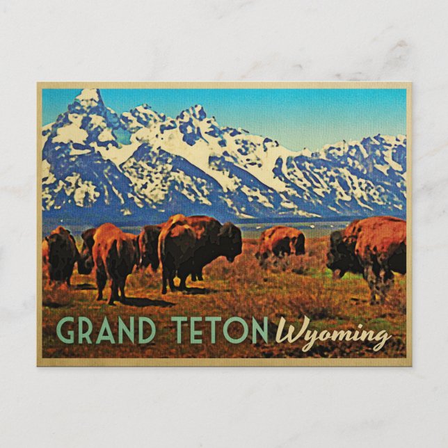 Carte Postale Grand Teton Wyoming Buffalo (Devant)