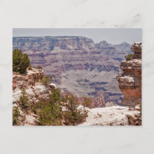 Carte Postale Grand View de Canard