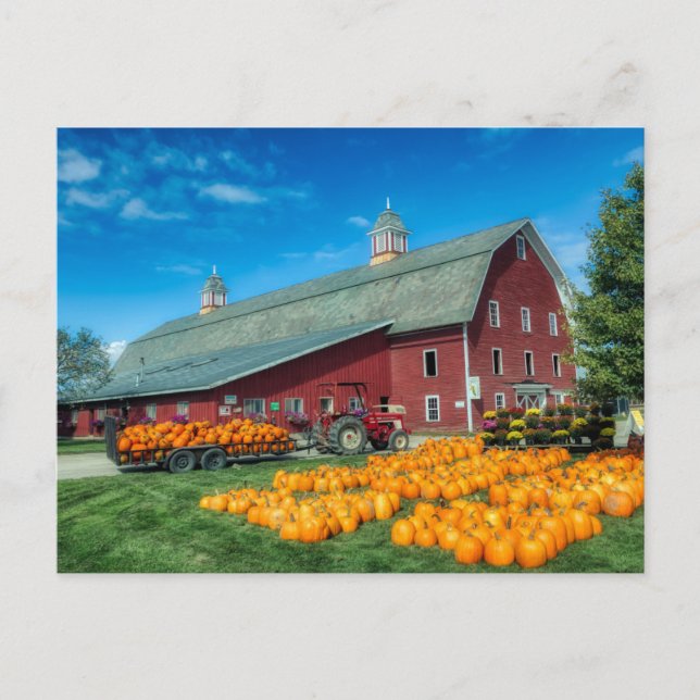 Carte Postale Grande Grange Rouge Vermont Avec Citrouilles (Devant)