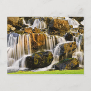 Carte Postale Grande Île, Hawaï. Ruisseau en cascade, Grande Île