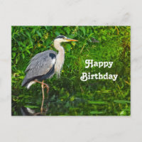 Grande photo de naissance de faune d'oiseau de hér