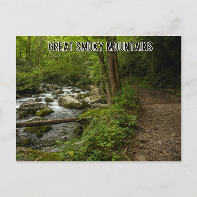 Carte Postale Grandes montagnes fumées Tennessee (Devant)