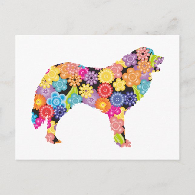 Carte Postale Grands Pyrénées (Devant)