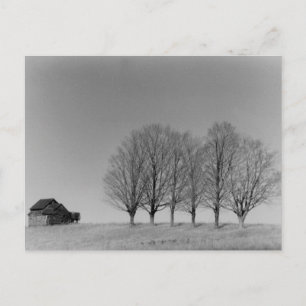 Carte postale Grange et arbres