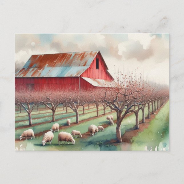 Carte Postale Grange rouge et verger de pistaches (Devant)