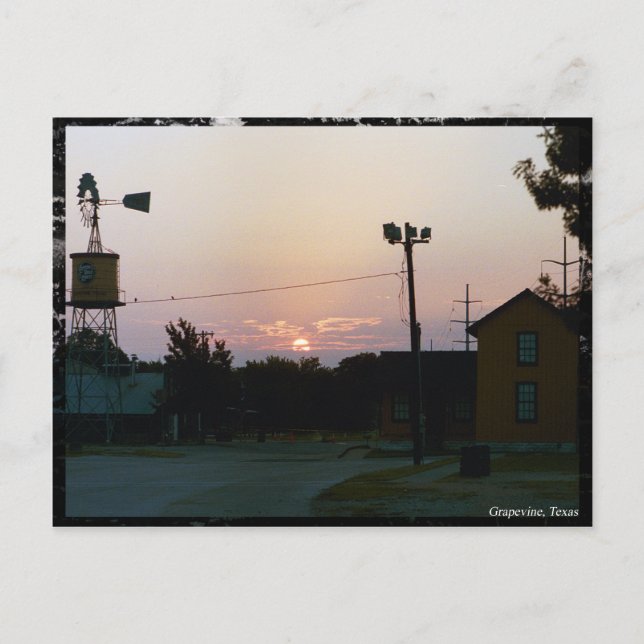 Carte postale Grapevine Sunrise (Devant)