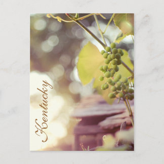 Carte Postale Grapevines et maisons d'oiseaux de JerseyFawn