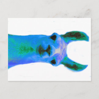 Carte Postale Graphique de lama bleu