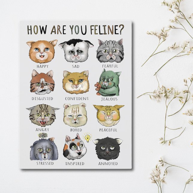 Carte Postale Graphique des Humeurs Drôles de Chat Comment allez (Créateur téléchargé)
