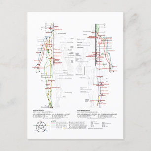 Carte Postale Graphique des méridiens humains