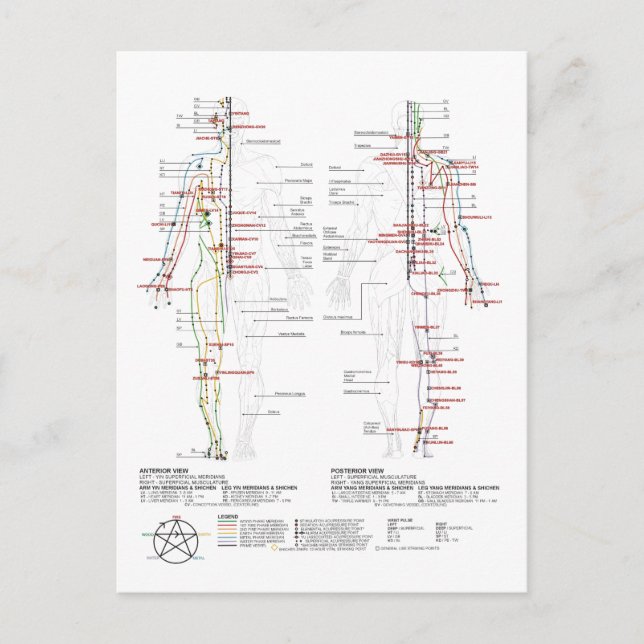 Carte Postale Graphique des méridiens humains (Devant)