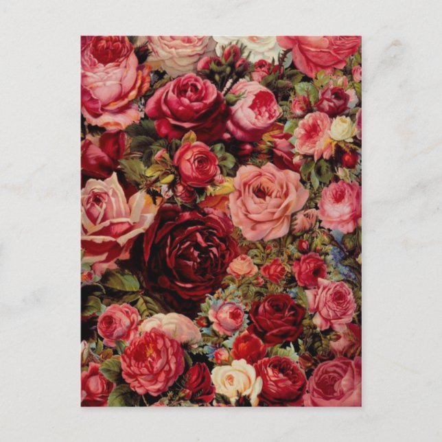 Carte postale graphique vintage (Devant)