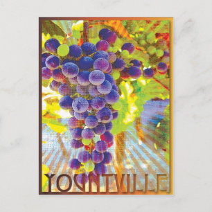 Carte Postale Grappe de raisins de Yountville en Californie