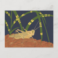 Grasshopper en Grass vert sur Arrière - plan bleu