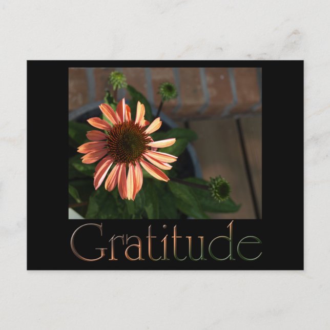Carte Postale Gratitude 3 (Devant)