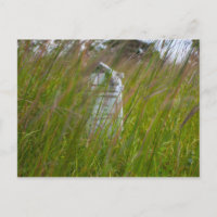 Grave, Smith Cemetery State Nature Preserve, Ohio