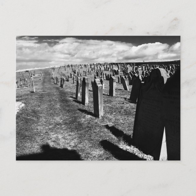 Carte Postale Gravestones, Abbaye de Whitby, Whitby, North Yorks (Devant)