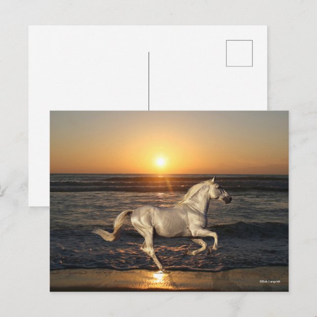 Carte Postale Gray Andalucien Courant Sur La Plage En Mer (Devant / Derrière)