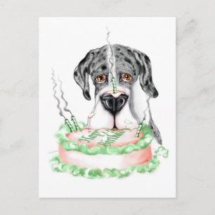 Carte Postale Great Dane Merle UC Gâteau d'anniversaire