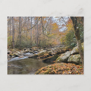 Carte Postale Great Smoky Mountains Automne Rivière d'automne