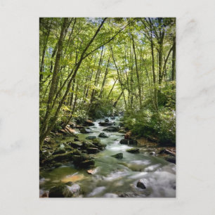 Carte Postale Great Smoky Mountains National Park, Tennessee