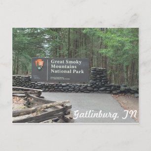 Carte Postale Great Smoky Mountains Postcard