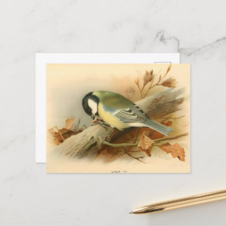 Carte Postale Great Tit par Lord Lilford, Illustration