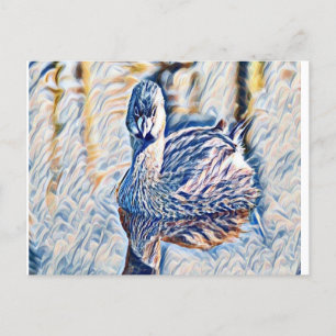 Carte Postale Grebe