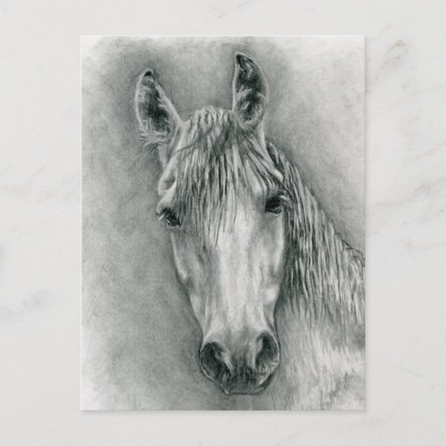 Carte Postale Greco (Devant)