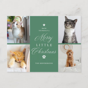 Carte postale Green 4 Photo Pet Holiday