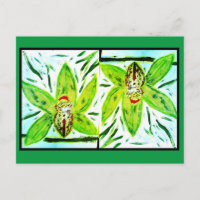 Carte postale Green Cymbidium Orchidées