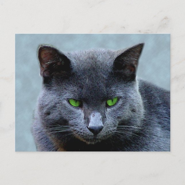 Carte postale Green Eyed Cat (Devant)