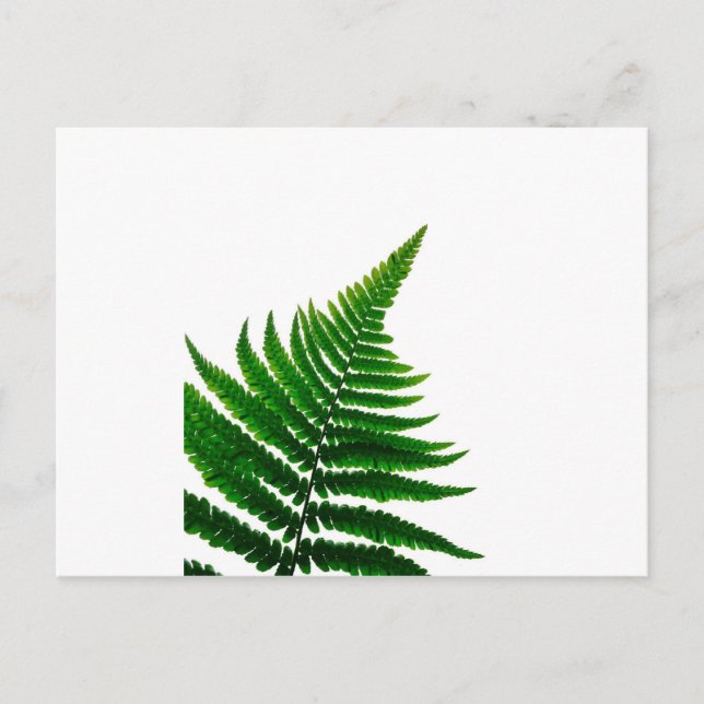 Carte Postale Green Fern Print Woodlands Leaf (Devant)