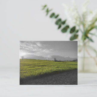Carte postale Green Fields