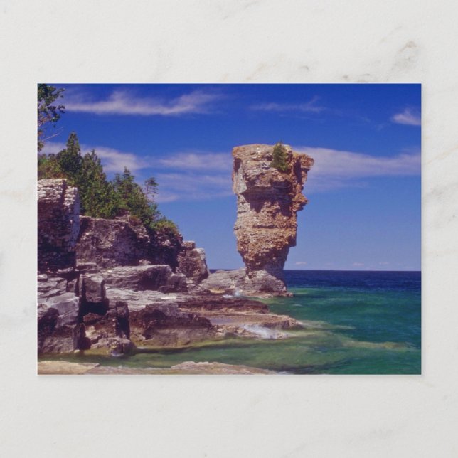 Carte Postale Green Flowerpot Island, fleurs Tobermory (Devant)