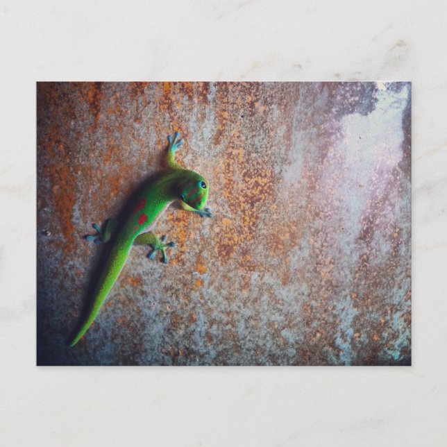 Carte postale Green Gecko (Devant)