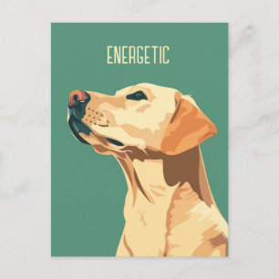 Carte Postale Green Labrador Retriever