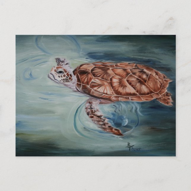 Carte postale Green Sea Turtle (Devant)