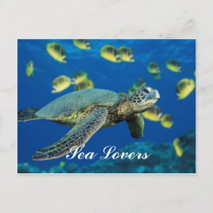 Carte postale Green Sea Turtle