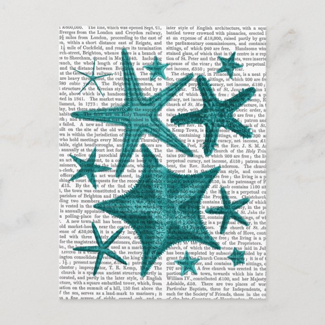Carte Postale Green Starfish Collection 2 (Devant)