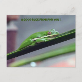 Carte postale Green Treefrog Good Luck