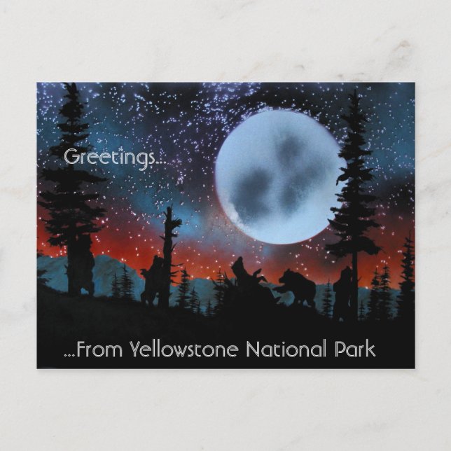 Carte Postale Greetings. (Devant)