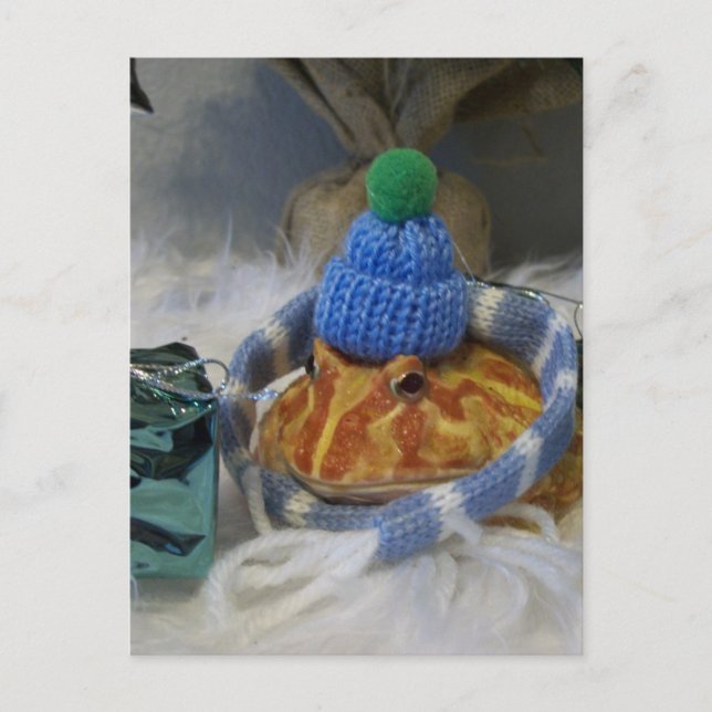 Carte Postale Grenouille (Devant)