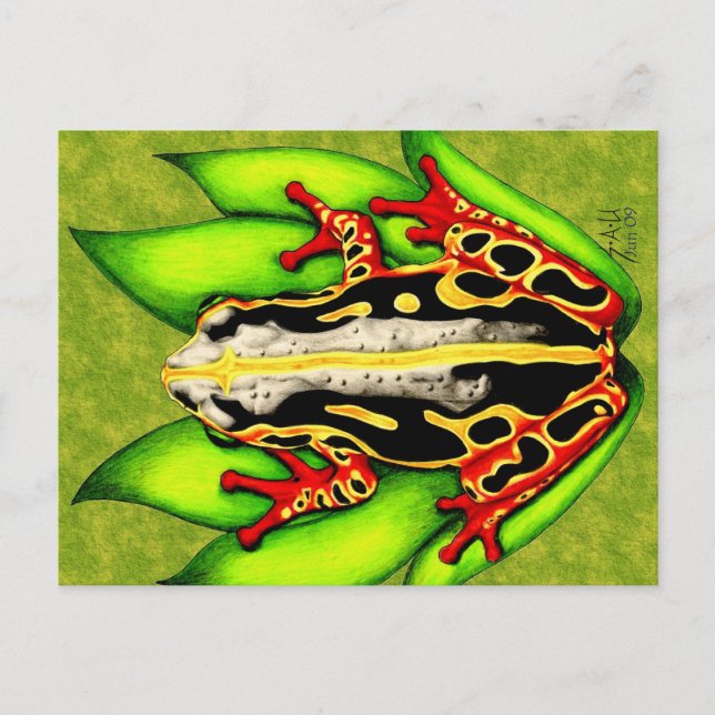 Carte Postale Grenouille à arbre noir et rouge (Devant)