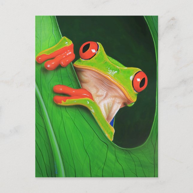 Carte Postale Grenouille à arbre rouge (Devant)