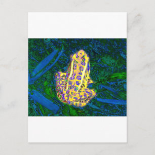 Carte Postale Grenouille dans l'herbe