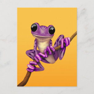 Carte Postale Grenouille mignonne d'arbre pourpre sur une branch