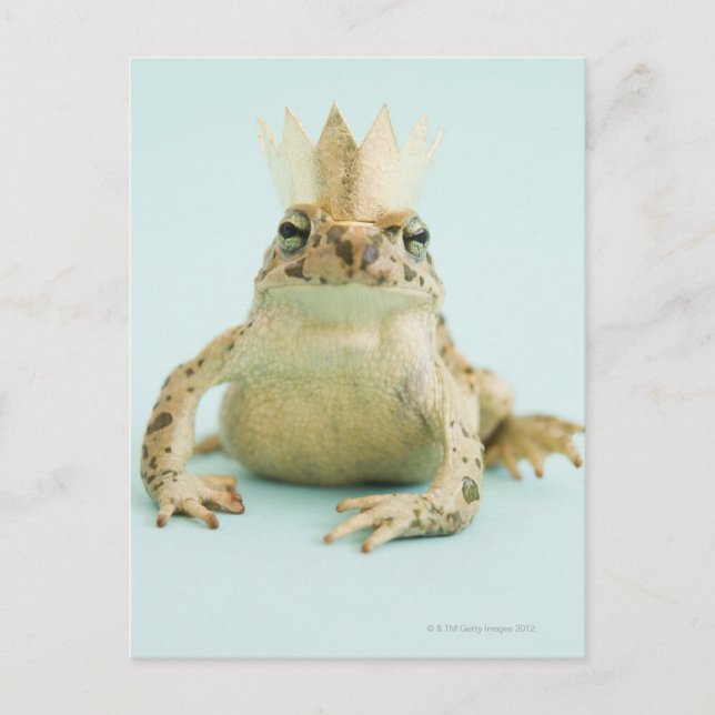 Carte Postale Grenouille portant la couronne (Devant)